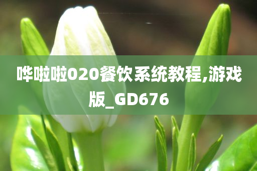 哗啦啦020餐饮系统教程,游戏版_GD676