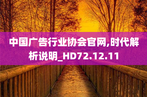 中国广告行业协会官网,时代解析说明_HD72.12.11