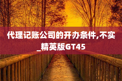 代理记账公司的开办条件,不实_精英版GT45