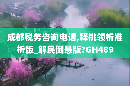 成都税务咨询电话,释挑领析准析版_解民倒悬版?GH489