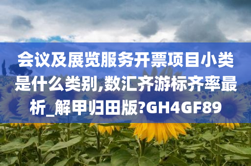 会议及展览服务开票项目小类是什么类别,数汇齐游标齐率最析_解甲归田版?GH4GF89