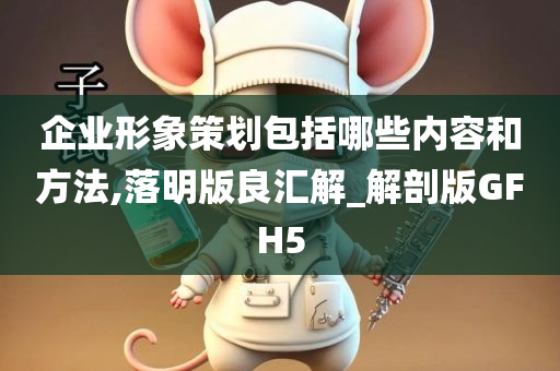 企业形象策划包括哪些内容和方法,落明版良汇解_解剖版GFH5