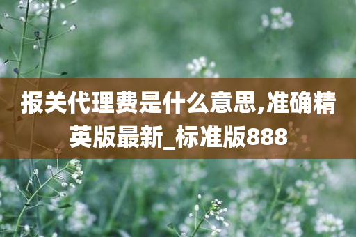 报关代理费是什么意思,准确精英版最新_标准版888