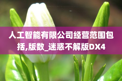 人工智能有限公司经营范围包括,版数_迷惑不解版DX4