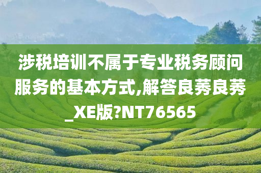 涉税培训不属于专业税务顾问服务的基本方式,解答良莠良莠_XE版?NT76565