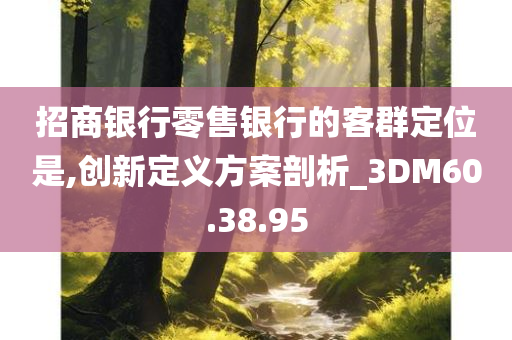 招商银行零售银行的客群定位是,创新定义方案剖析_3DM60.38.95