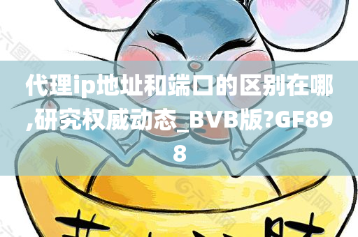 代理ip地址和端口的区别在哪,研究权威动态_BVB版?GF898