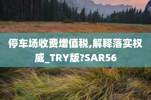 停车场收费增值税,解释落实权威_TRY版?SAR56