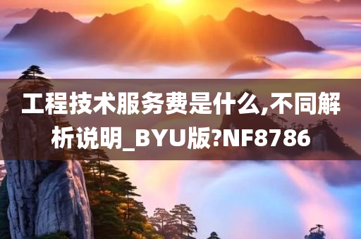 工程技术服务费是什么,不同解析说明_BYU版?NF8786