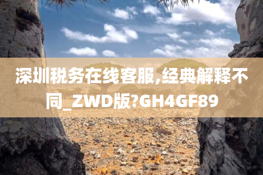 深圳税务在线客服,经典解释不同_ZWD版?GH4GF89