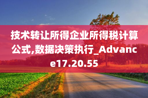 技术转让所得企业所得税计算公式,数据决策执行_Advance17.20.55