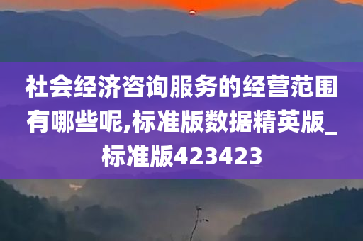 社会经济咨询服务的经营范围有哪些呢,标准版数据精英版_标准版423423