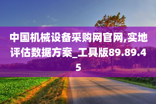 中国机械设备采购网官网,实地评估数据方案_工具版89.89.45