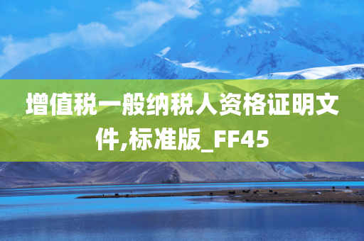 增值税一般纳税人资格证明文件,标准版_FF45