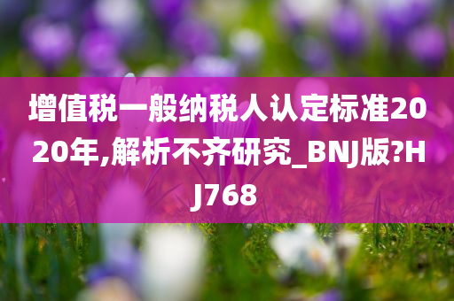 增值税一般纳税人认定标准2020年,解析不齐研究_BNJ版?HJ768