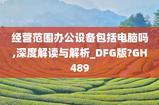 经营范围办公设备包括电脑吗,深度解读与解析_DFG版?GH489