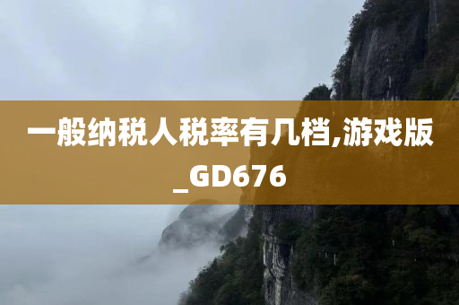 一般纳税人税率有几档,游戏版_GD676