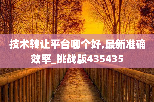 技术转让平台哪个好,最新准确效率_挑战版435435