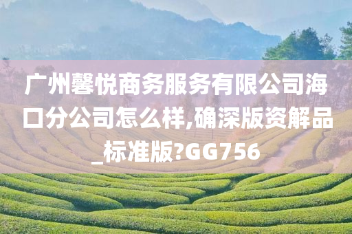 广州馨悦商务服务有限公司海口分公司怎么样,确深版资解品_标准版?GG756