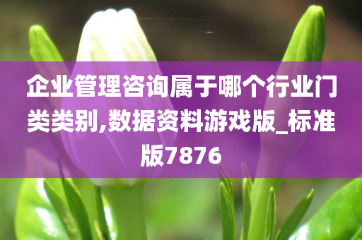 企业管理咨询属于哪个行业门类类别,数据资料游戏版_标准版7876