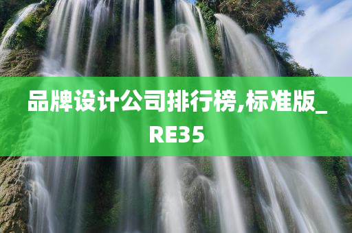 品牌设计公司排行榜,标准版_RE35