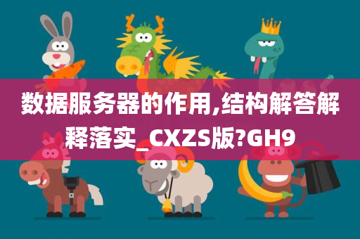 数据服务器的作用,结构解答解释落实_CXZS版?GH9