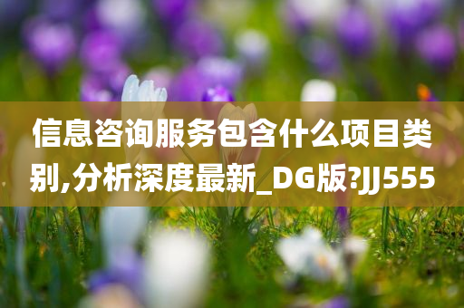 信息咨询服务包含什么项目类别,分析深度最新_DG版?JJ555