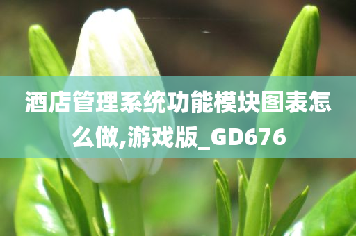 酒店管理系统功能模块图表怎么做,游戏版_GD676