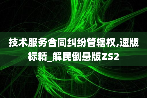 技术服务合同纠纷管辖权,速版标精_解民倒悬版ZS2