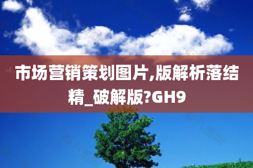 市场营销策划图片,版解析落结精_破解版?GH9