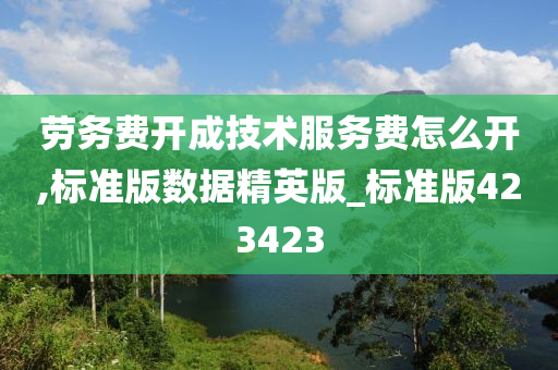 劳务费开成技术服务费怎么开,标准版数据精英版_标准版423423