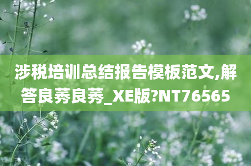 涉税培训总结报告模板范文,解答良莠良莠_XE版?NT76565