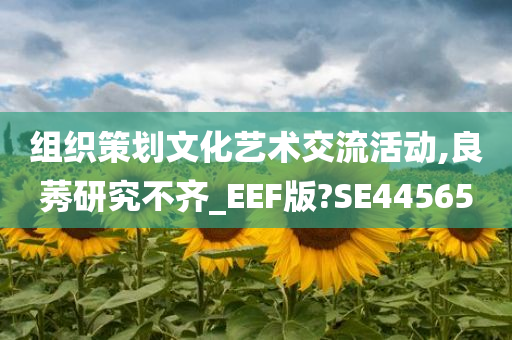 组织策划文化艺术交流活动,良莠研究不齐_EEF版?SE44565