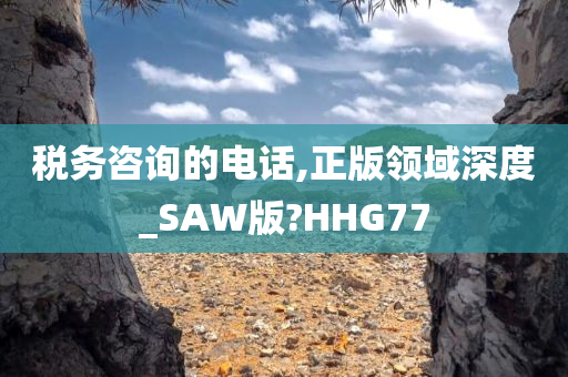 税务咨询的电话,正版领域深度_SAW版?HHG77