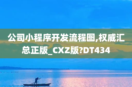 公司小程序开发流程图,权威汇总正版_CXZ版?DT434