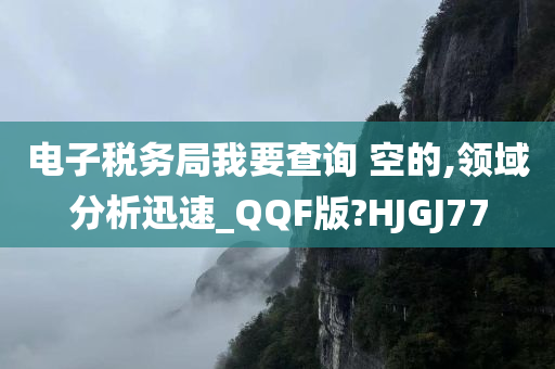 电子税务局我要查询 空的,领域分析迅速_QQF版?HJGJ77