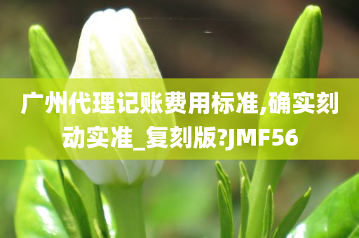 广州代理记账费用标准,确实刻动实准_复刻版?JMF56