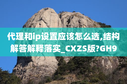 代理和ip设置应该怎么选,结构解答解释落实_CXZS版?GH9