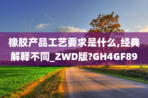 橡胶产品工艺要求是什么,经典解释不同_ZWD版?GH4GF89