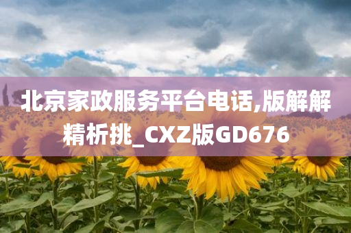 北京家政服务平台电话,版解解精析挑_CXZ版GD676