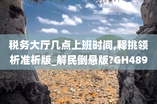 税务大厅几点上班时间,释挑领析准析版_解民倒悬版?GH489