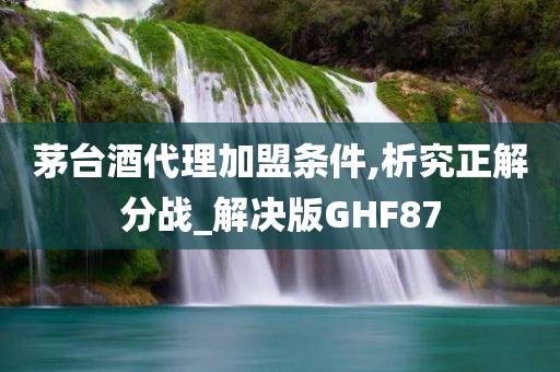 茅台酒代理加盟条件,析究正解分战_解决版GHF87