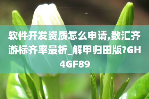 软件开发资质怎么申请,数汇齐游标齐率最析_解甲归田版?GH4GF89