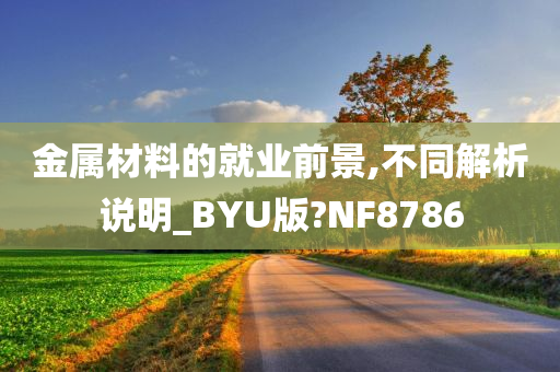 金属材料的就业前景,不同解析说明_BYU版?NF8786