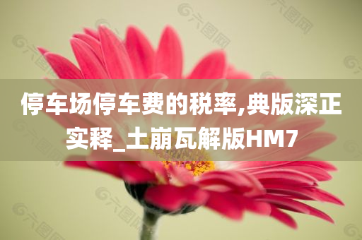 停车场停车费的税率,典版深正实释_土崩瓦解版HM7