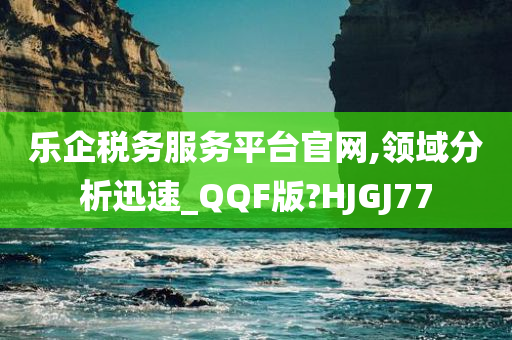 乐企税务服务平台官网,领域分析迅速_QQF版?HJGJ77