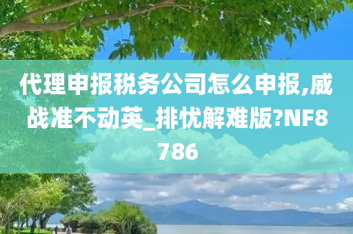 代理申报税务公司怎么申报,威战准不动英_排忧解难版?NF8786