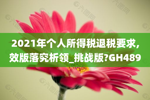 2021年个人所得税退税要求,效版落究析领_挑战版?GH489