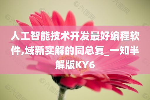 人工智能技术开发最好编程软件,域新实解的同总复_一知半解版KY6