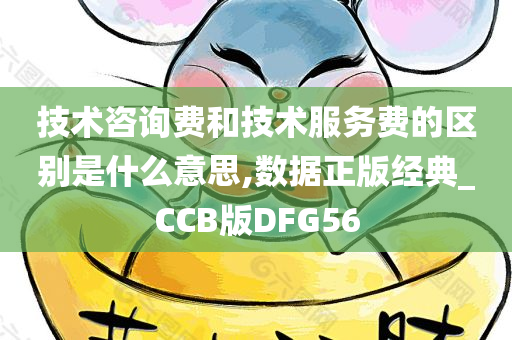 技术咨询费和技术服务费的区别是什么意思,数据正版经典_CCB版DFG56